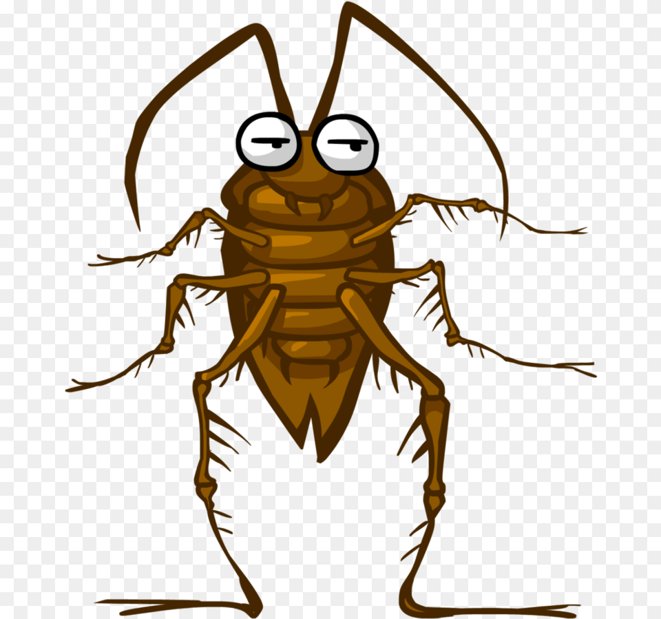 Cockroach Clipart, Animal, Bee, Insect, Invertebrate Free Transparent Png