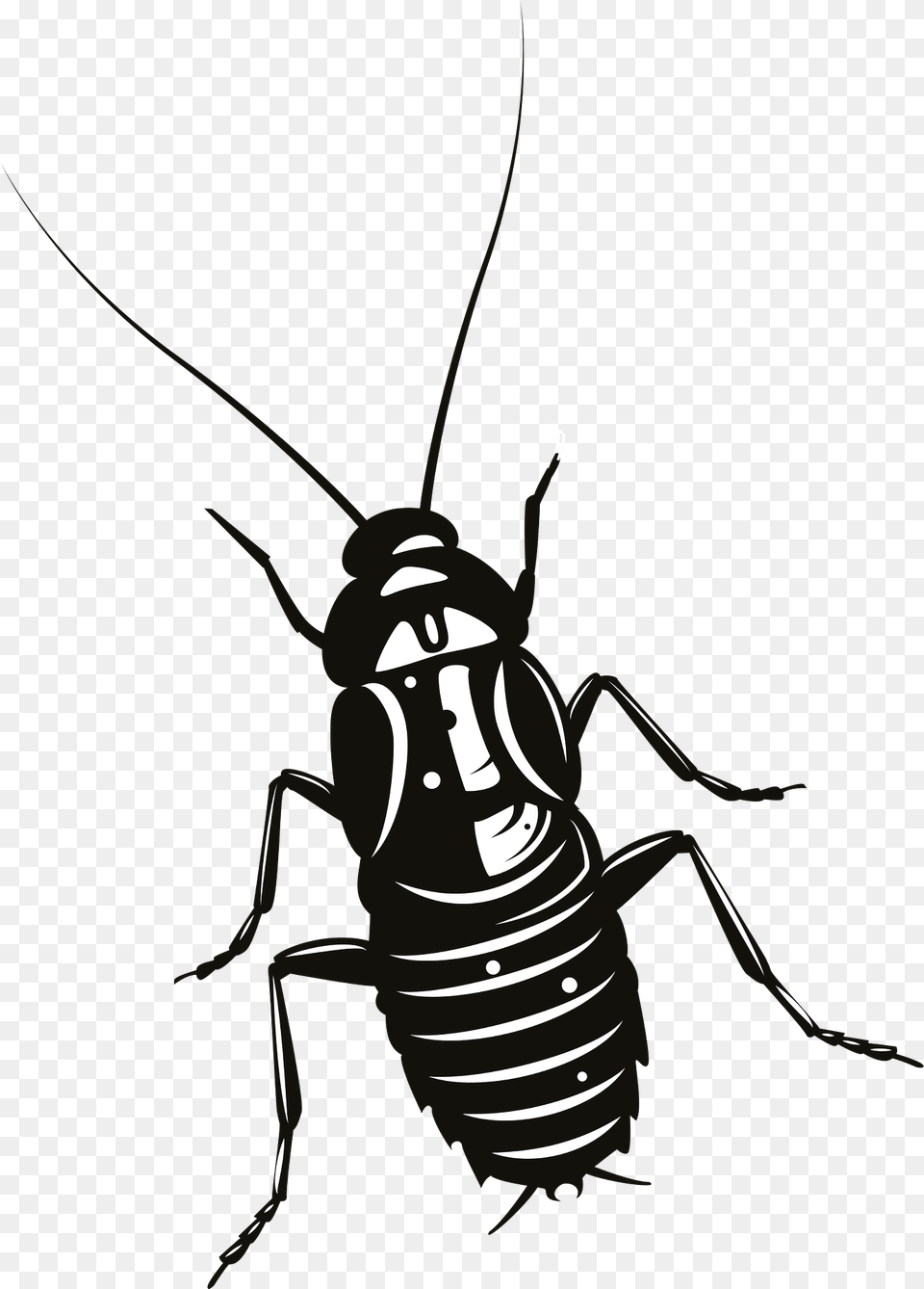 Cockroach Clipart, Animal, Insect, Invertebrate, Food Png