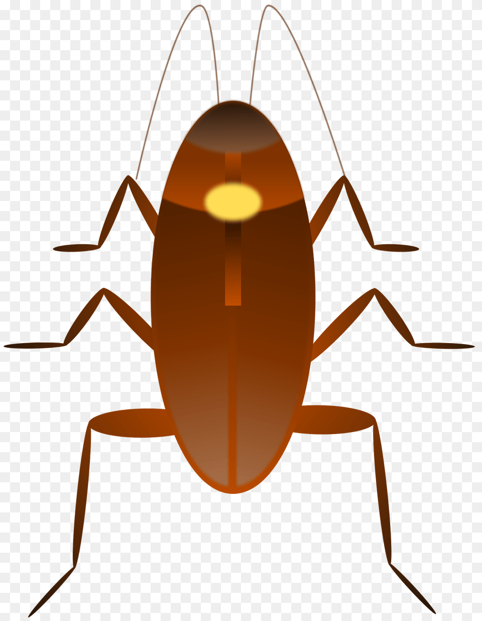 Cockroach Clipart, Animal, Fish, Insect, Invertebrate Free Transparent Png