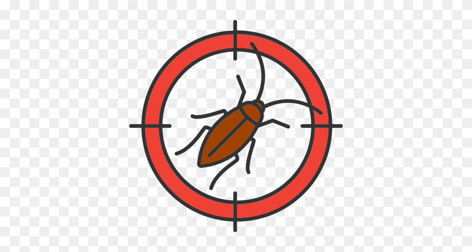Cockroach Control Insect Pest Roach Search Target Icon, Animal Free Png
