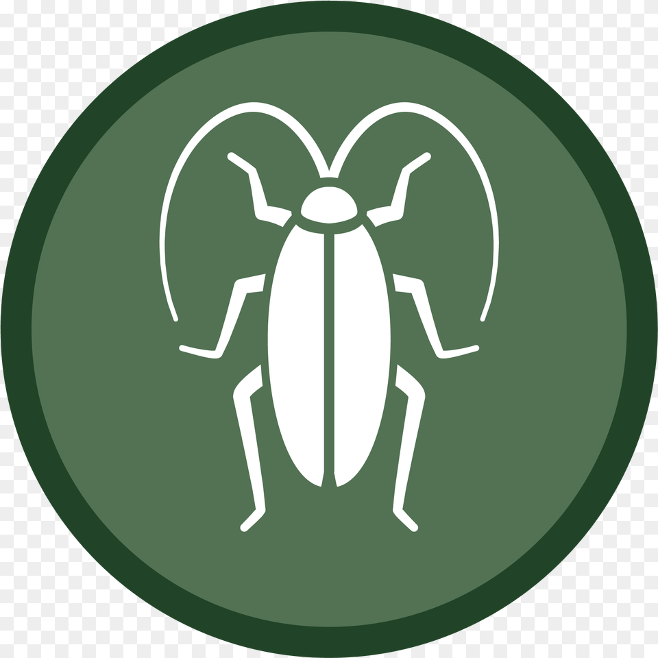 Cockroach Icon 02 Sims 4 Mosquito Stuff Pack, Animal, Disk Png Image