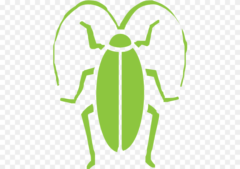 Cockroach Icon, Animal, Person, Firefly, Insect Free Transparent Png