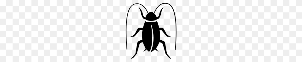 Cockroach Icons Noun Project, Gray Png Image