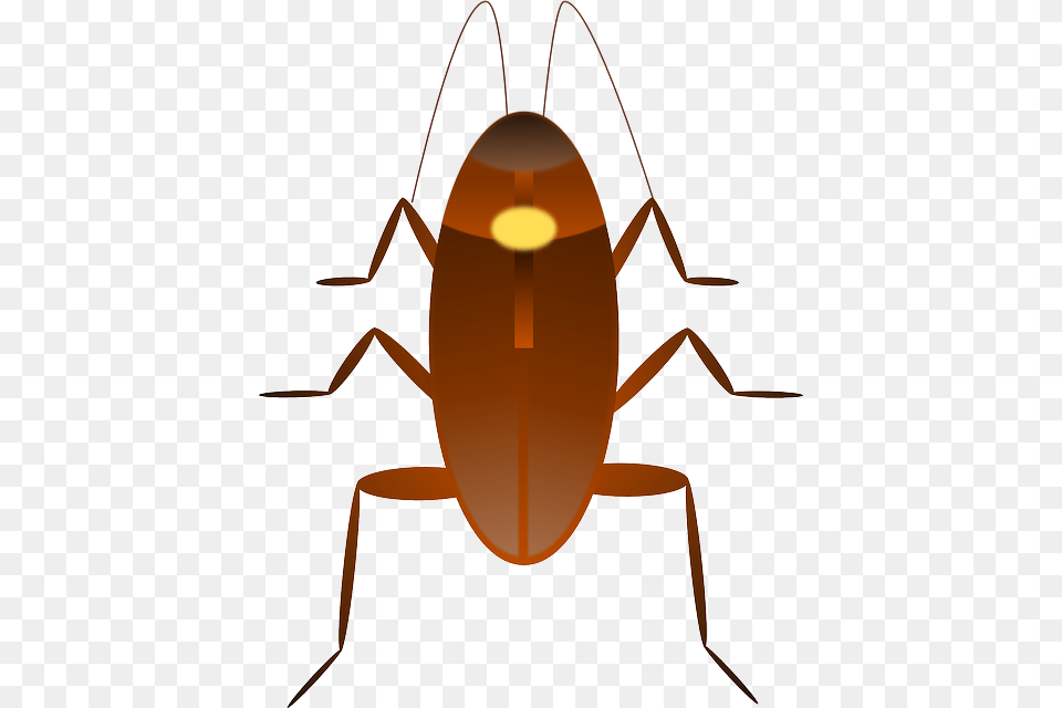 Cockroach Insect Ugly Bug Kecoa Vector, Animal, Invertebrate Png Image