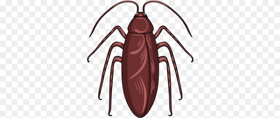 Cockroach Management Service Animal, Insect, Invertebrate, Electronics Free Transparent Png