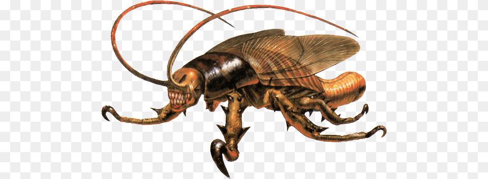 Cockroach Parasite Eve, Animal, Insect, Invertebrate Free Transparent Png