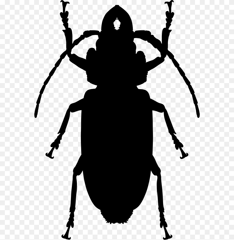 Cockroach Shape Comments Icon, Person, Stencil, Animal Free Png Download