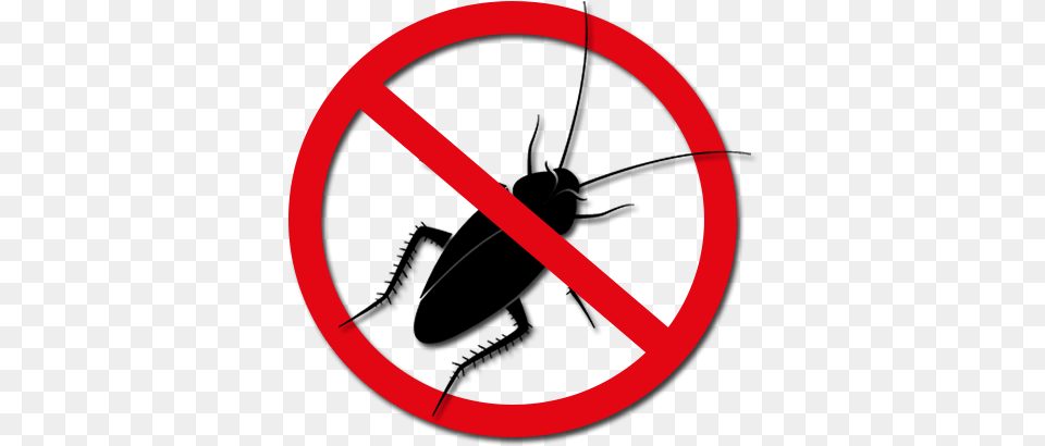 Cockroaches Barata, Sign, Symbol, Road Sign, Disk Free Png