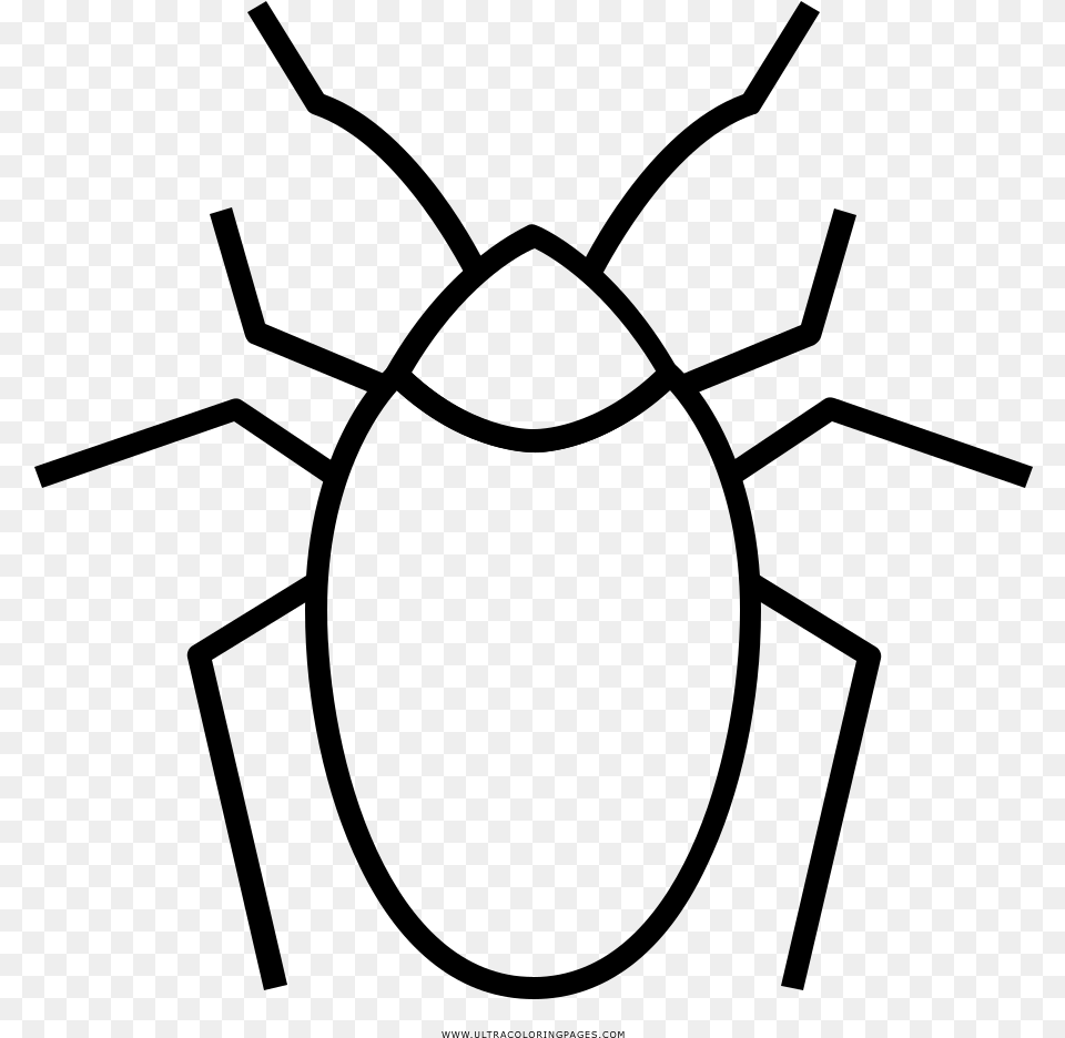 Cockroaches Coloring, Gray Free Png Download