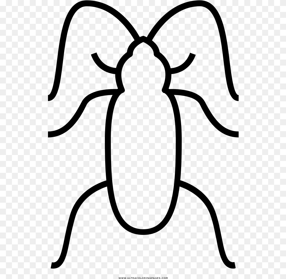Cockroaches Coloring, Gray Free Png