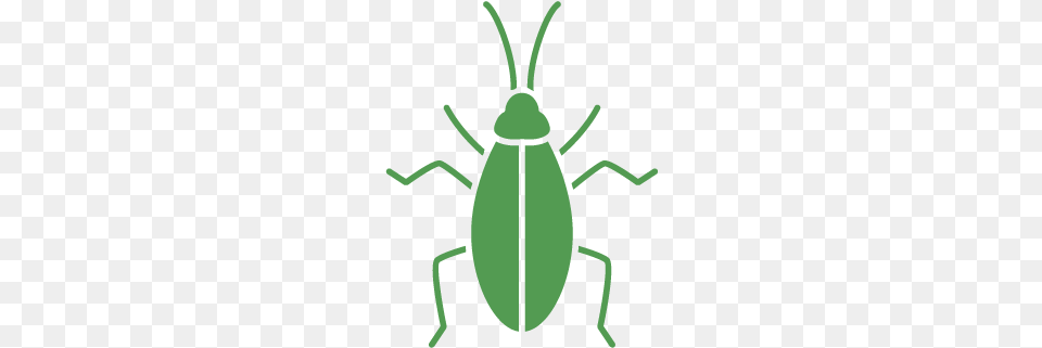 Cockroaches Orange County, Animal, Person Free Transparent Png