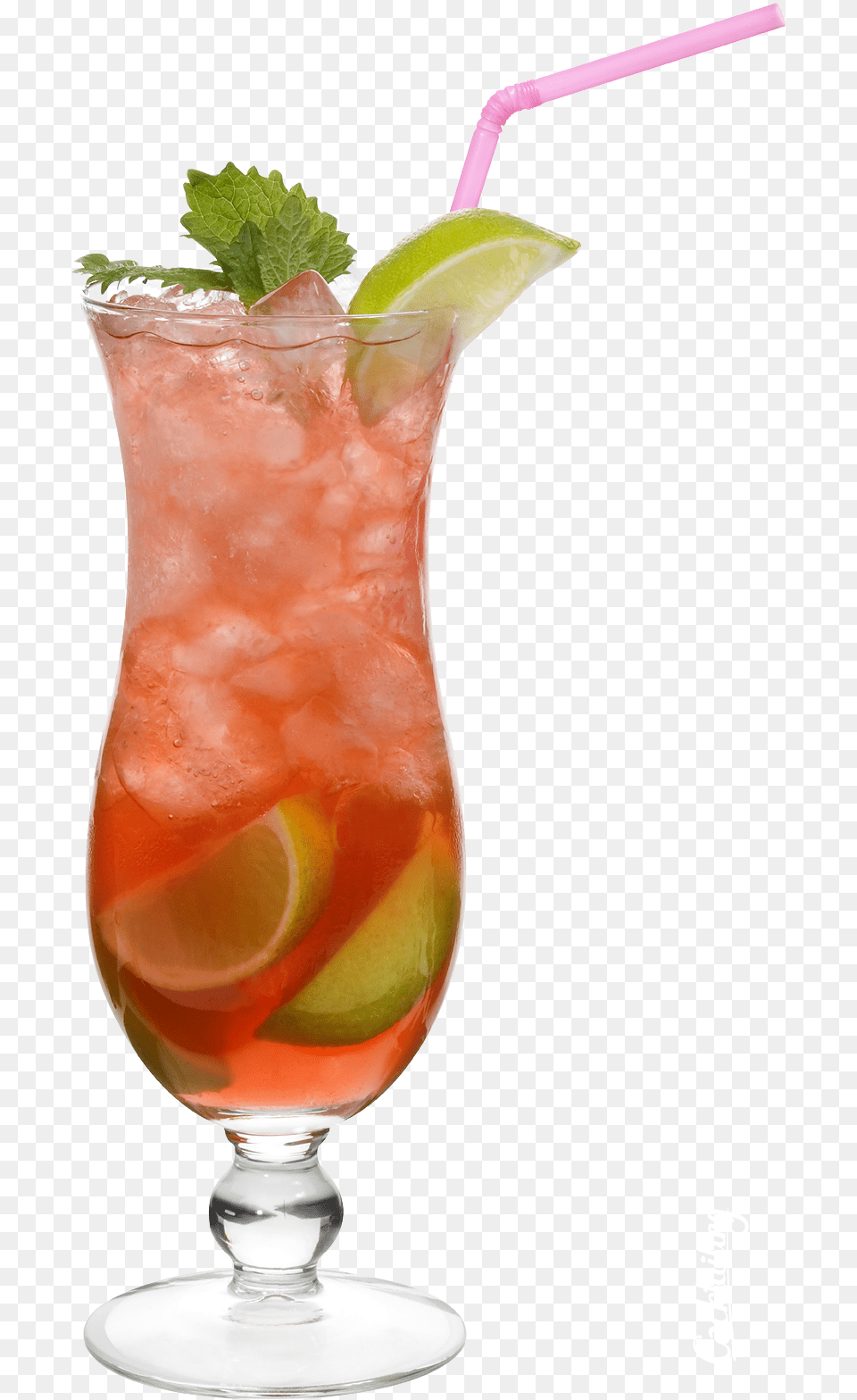 Cocktail, Alcohol, Plant, Mojito, Mint Png