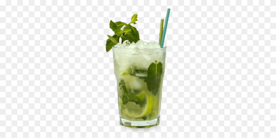 Cocktail, Alcohol, Beverage, Herbs, Mint Png Image