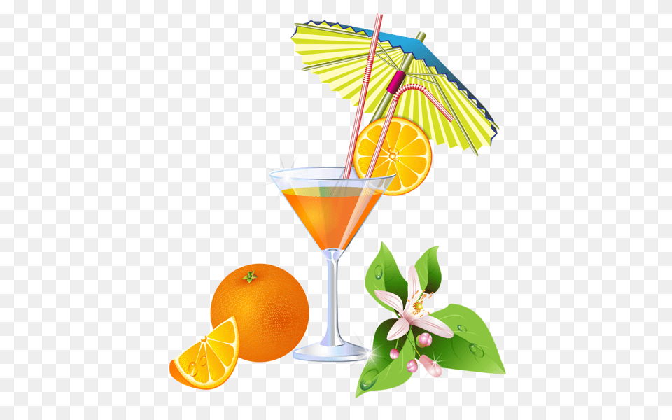 Cocktail, Alcohol, Beverage, Plant, Orange Free Png