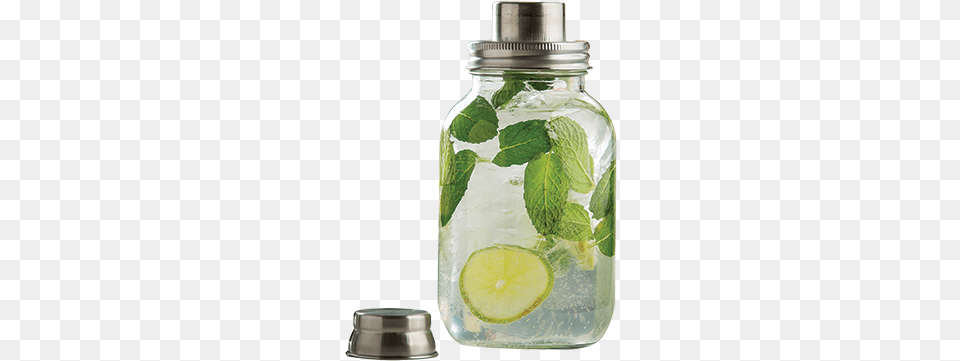 Cocktail Shaker, Plant, Mint, Herbs, Alcohol Png Image