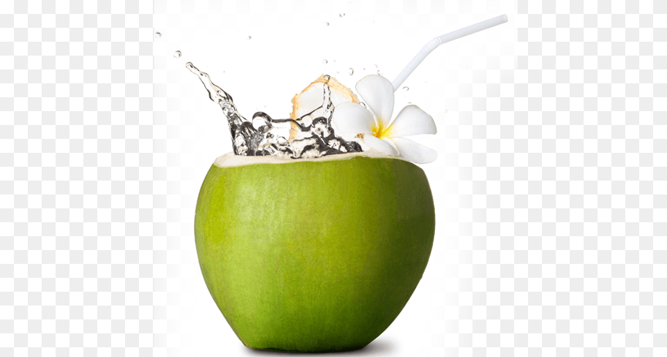 Coco Em Green Coconut Coconut, Food, Fruit, Plant, Produce Png Image