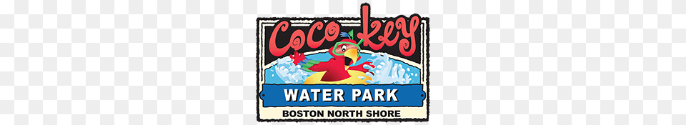 Coco Key Boston North Shore Indoor Water Park, Dynamite, Weapon, Birthday Cake, Cake Png