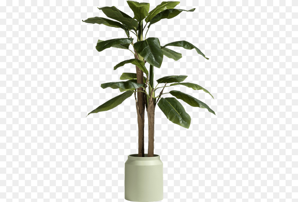Coco Maison Banana Tree 140 Cm Coco Maison Banana Tree, Vase, Pottery, Potted Plant, Planter Png