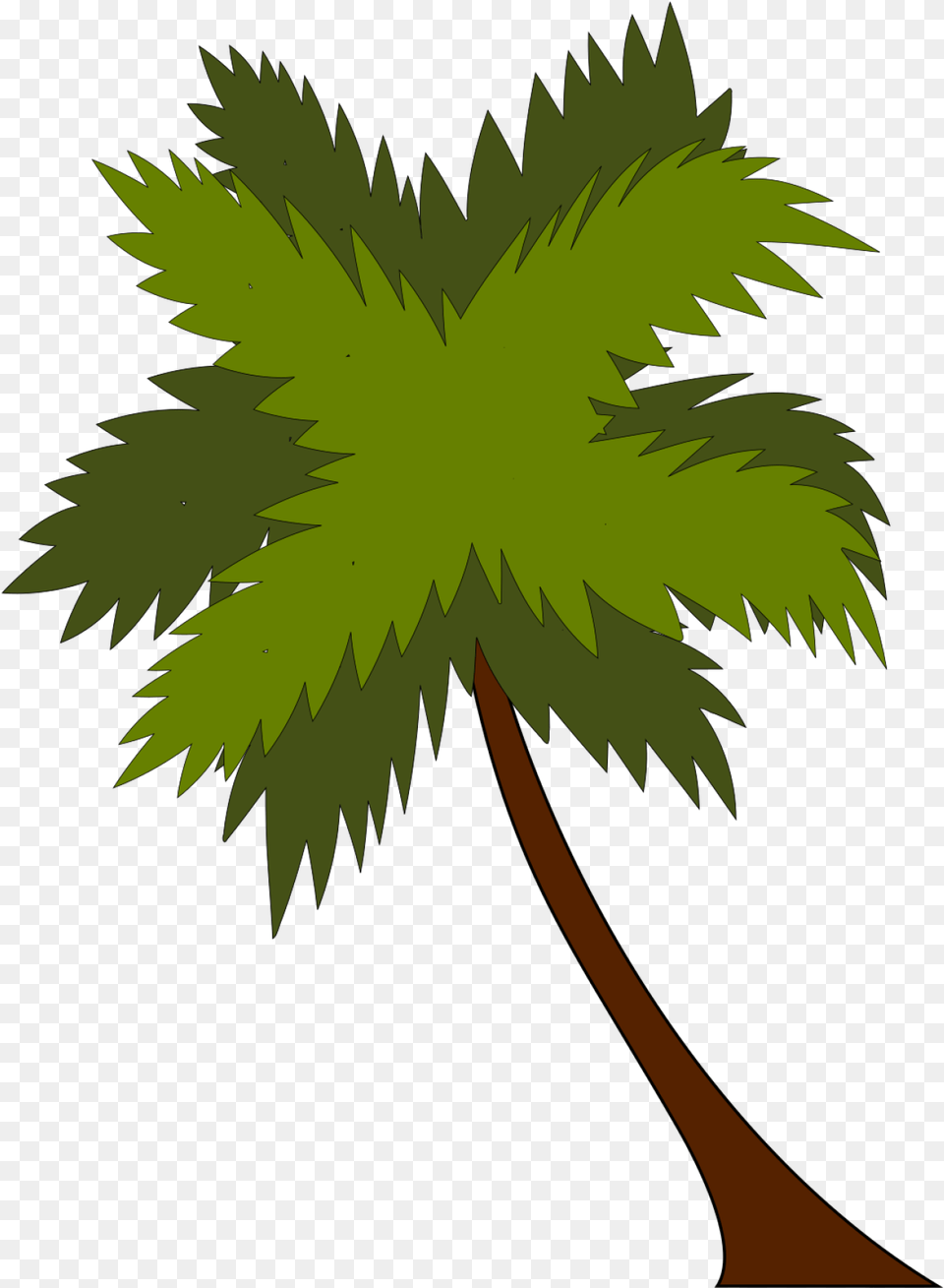 Coco Tree 900px Large Size Clip Arts And Beach Resort, Leaf, Palm Tree, Plant, Vegetation Free Png Download