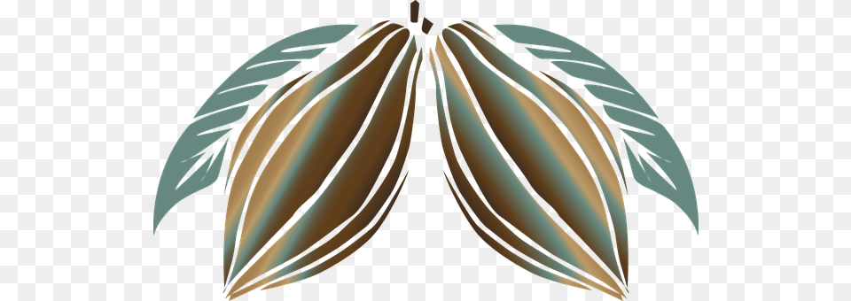 Cocoa Leaf, Plant, Bow, Weapon Png