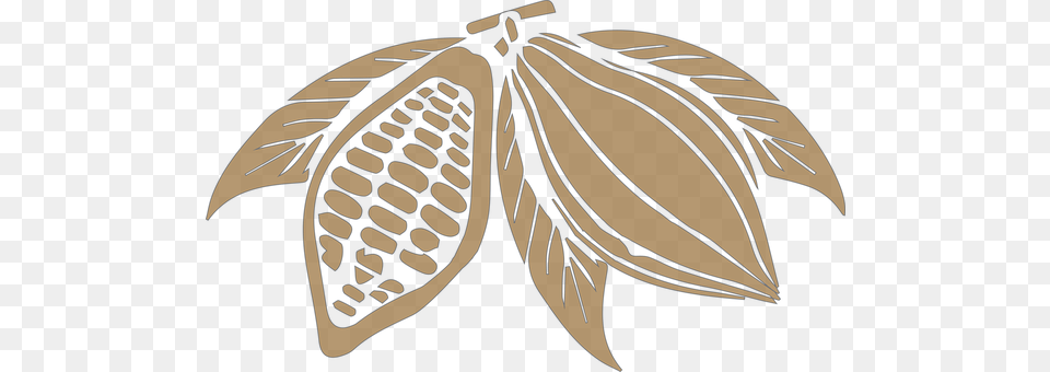 Cocoa Leaf, Plant, Food, Grain Png