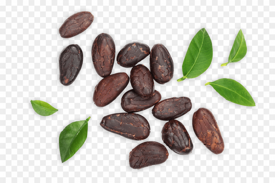 Cocoa Bean, Dessert, Food, Plant Free Transparent Png