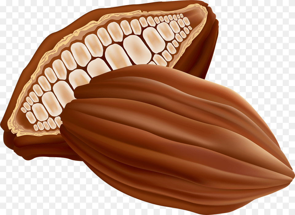 Cocoa Bean Clip Art Png Image