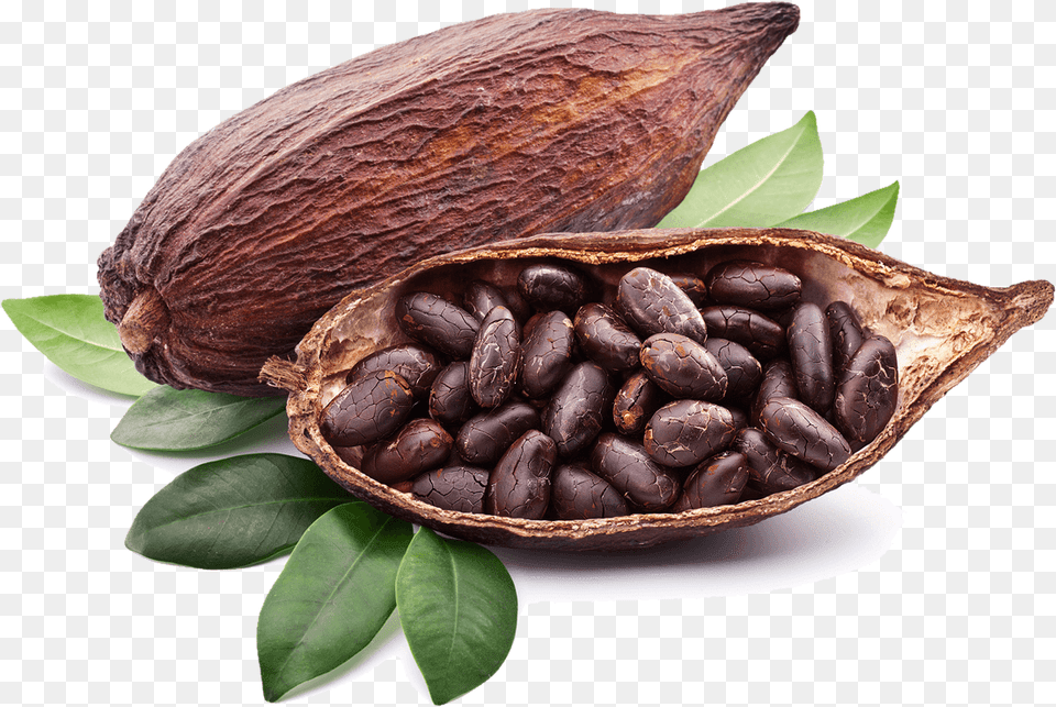 Cocoa Bean Cocoa, Dessert, Food, Plant Free Png
