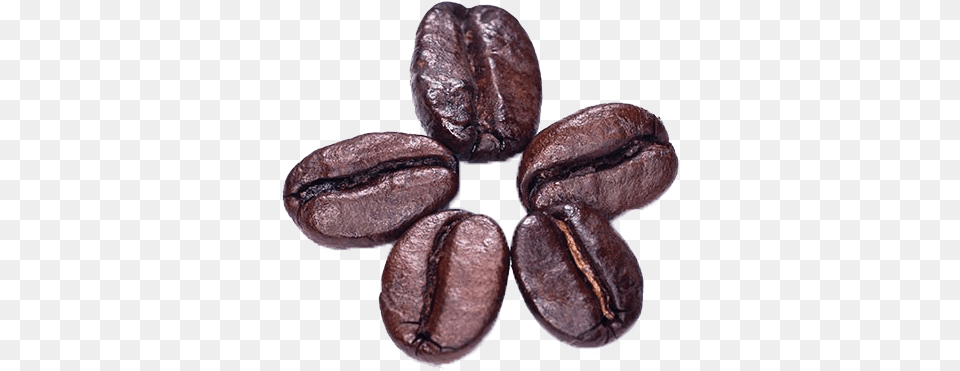 Cocoa Bean Coffee Bean, Beverage, Food, Produce Free Transparent Png