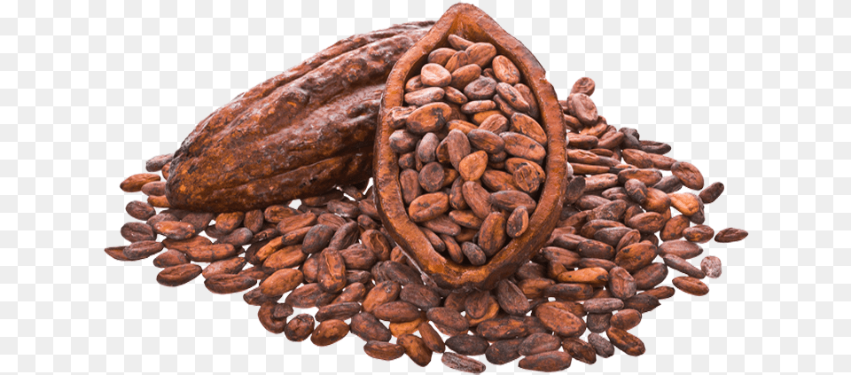 Cocoa Beans Cocoa Bean, Dessert, Food Free Transparent Png