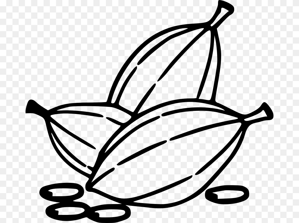 Cocoa Beans Cocoa Clipart Black And White, Gray Free Png