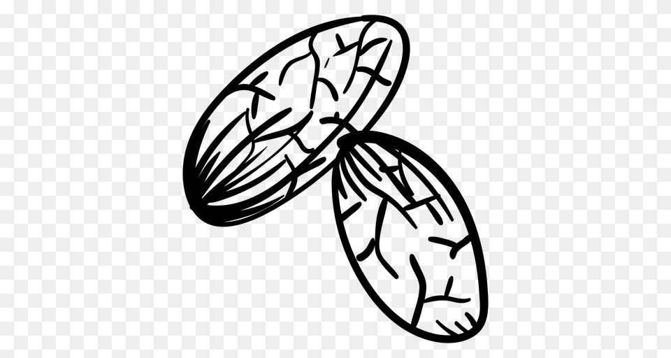 Cocoa Beans Hand Drawn, Gray Png