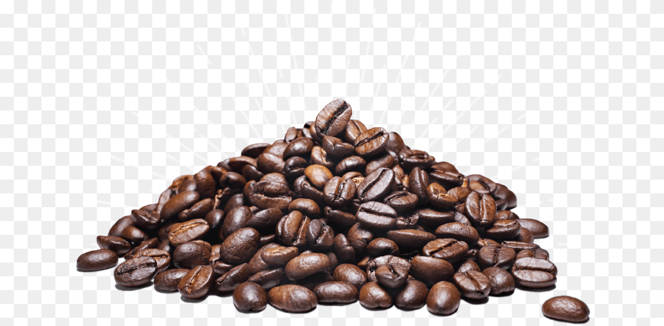 Cocoa Beans High Resolution Coffee Beans, Beverage, Coffee Beans, Fungus, Plant Free Png Download