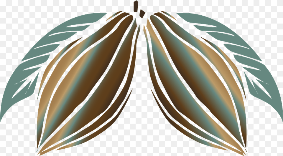 Cocoa Chocolate Plant Cacao, Leaf, Art, Accessories, Chandelier Free Transparent Png