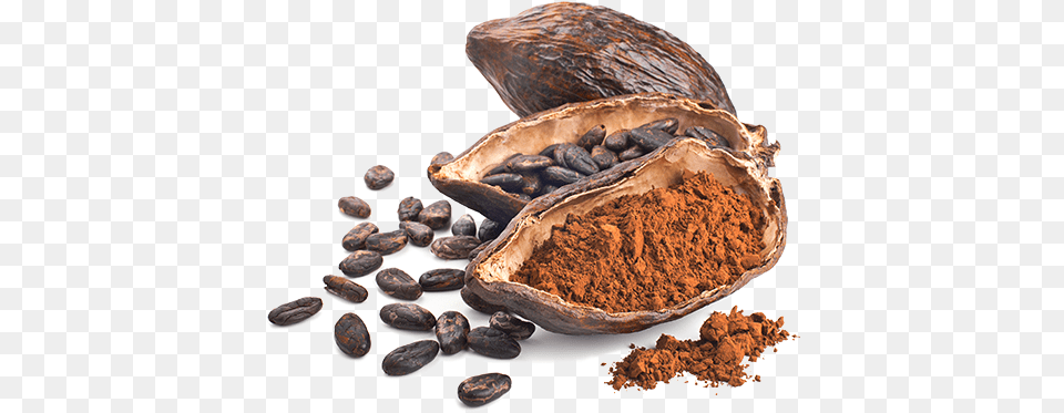 Cocoa For Chocolate, Dessert, Food, Produce Free Transparent Png