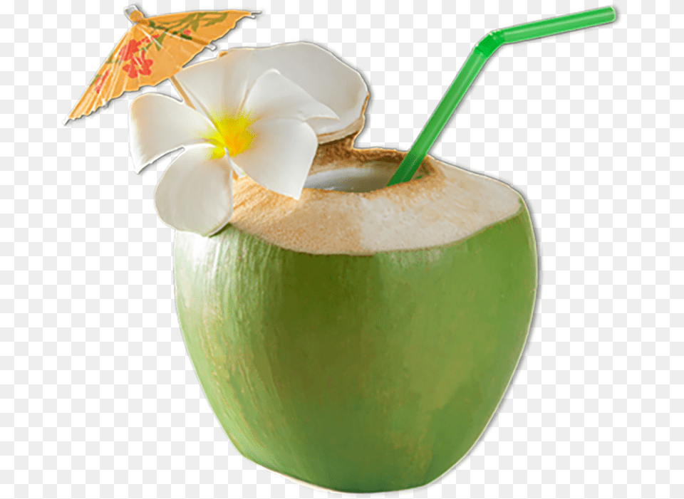 Coconut 03 Straw In Coconut, Food, Fruit, Plant, Produce Png Image