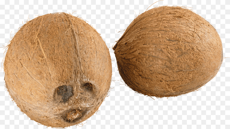 Coconut 10 Coconut Free Transparent Png