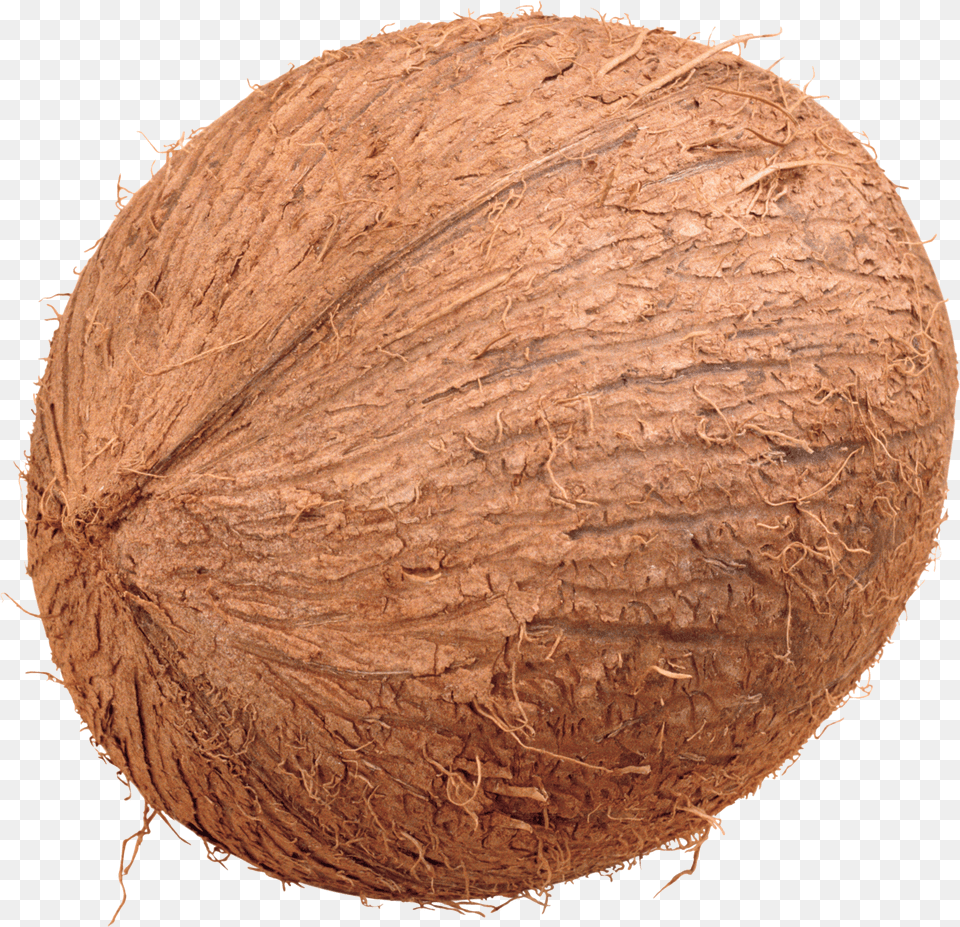 Coconut Free Transparent Png