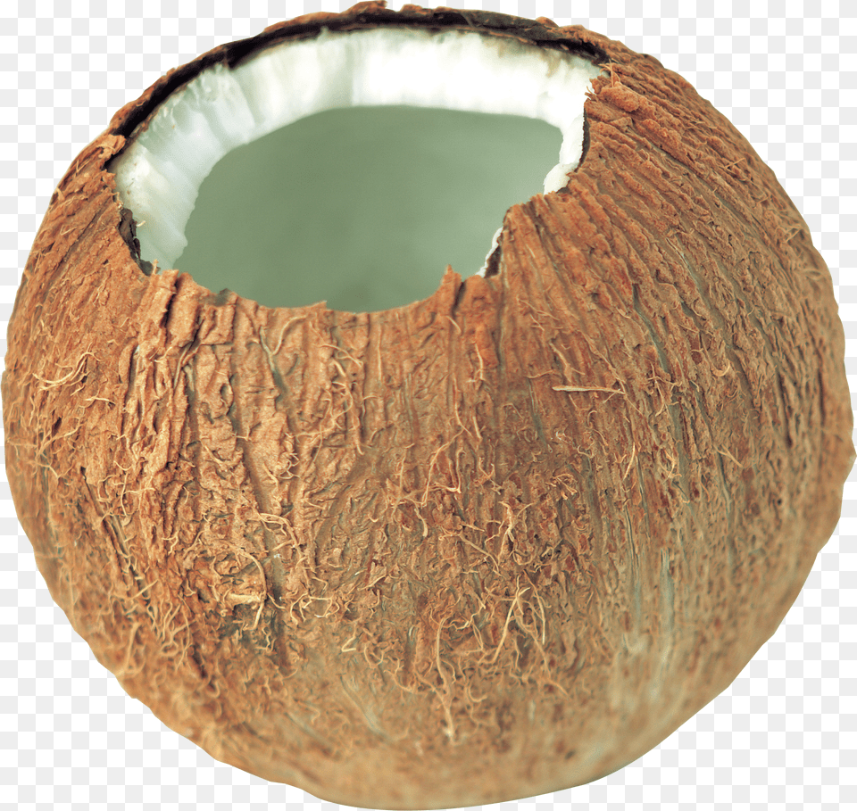 Coconut, Accessories, Bag, Handbag, Purse Png Image