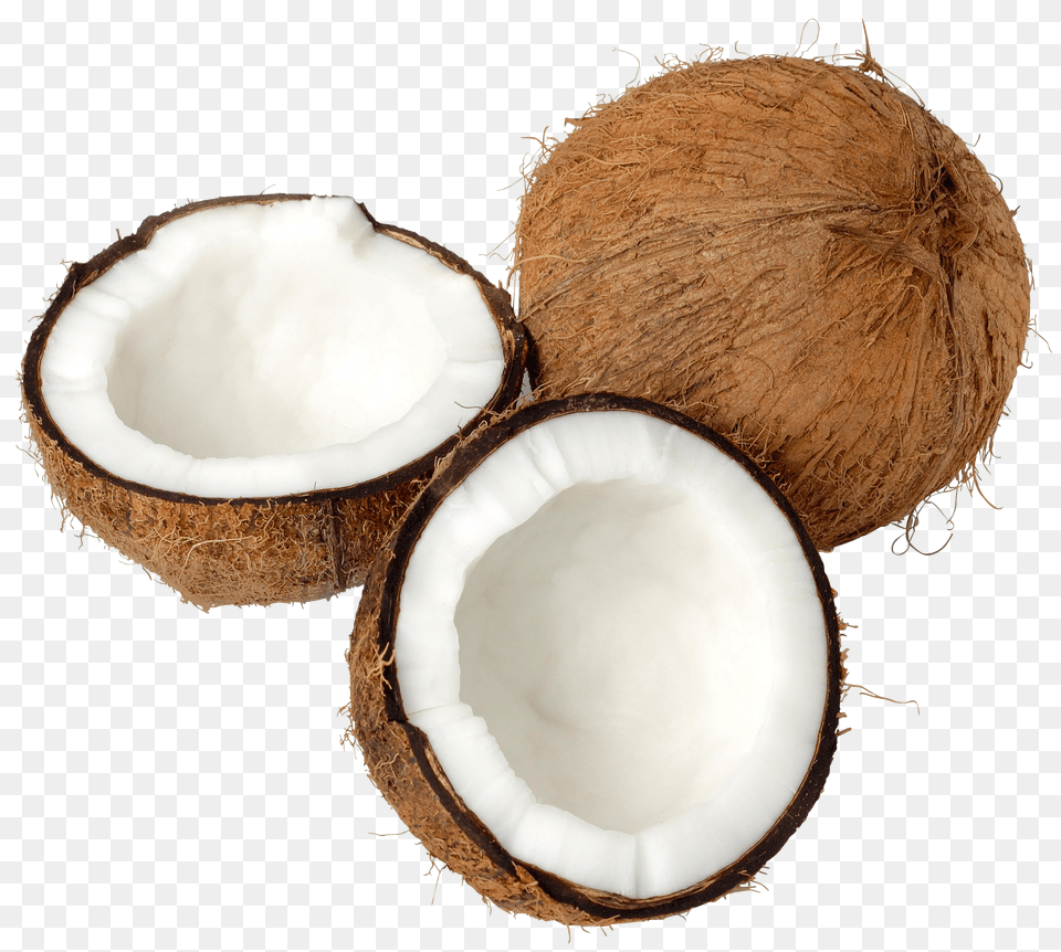 Coconut Free Png