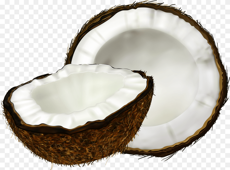 Coconut Free Png Download