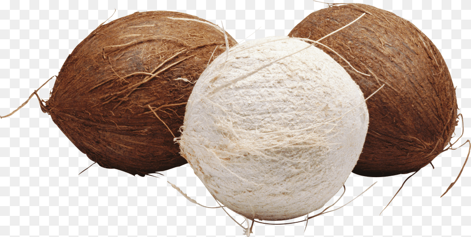 Coconut, Food, Fruit, Plant, Produce Free Png Download