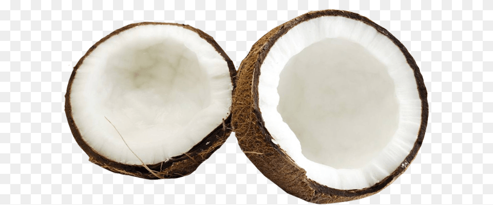 Coconut, Food, Fruit, Plant, Produce Free Png Download