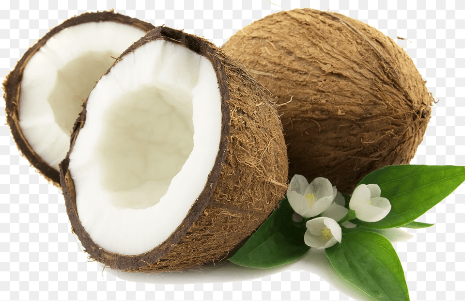 Coconut, Food, Fruit, Plant, Produce Free Transparent Png