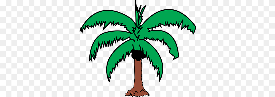 Coconut Palm Tree, Plant, Tree, Animal Free Png