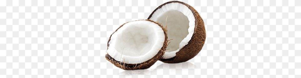 Coconut, Food, Fruit, Plant, Produce Free Png