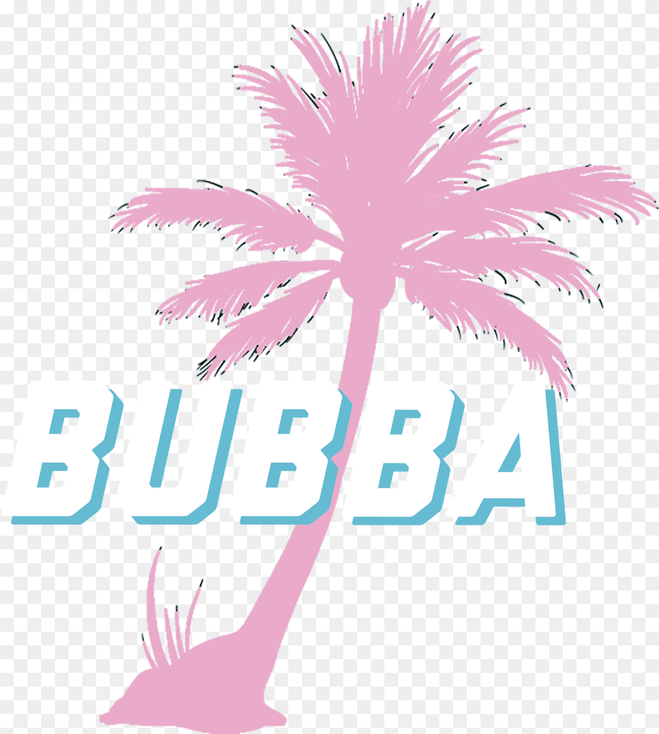 Coconut, Palm Tree, Plant, Tree, Person Free Transparent Png