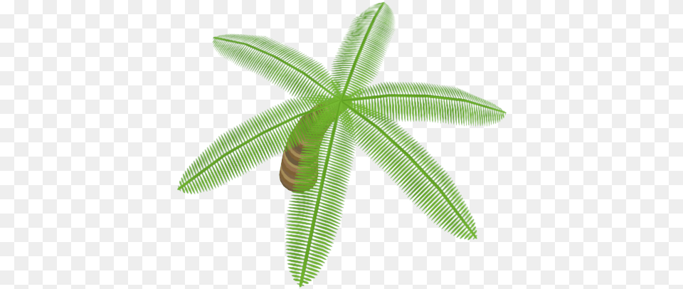 Coconut, Leaf, Plant, Fern, Animal Free Png