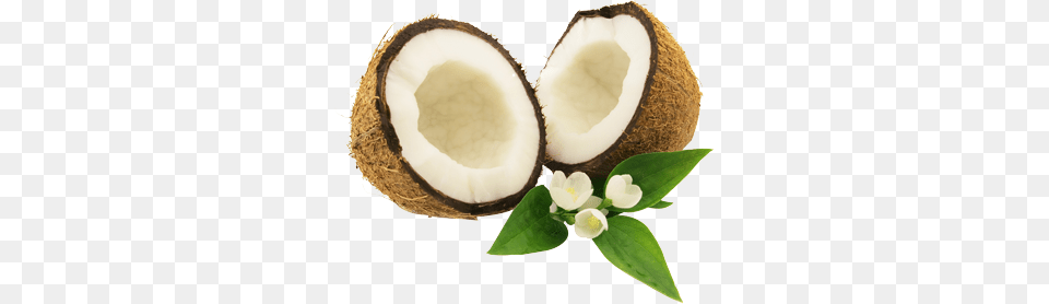 Coconut, Food, Fruit, Plant, Produce Png