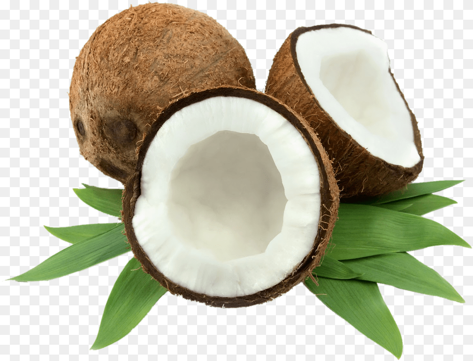 Coconut, Food, Fruit, Plant, Produce Free Transparent Png